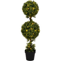 3' Boxwood Double in Pot 70WW LED