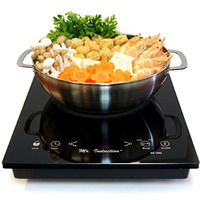 1650W Induction in Black (Built-in/Countertop) + Pot Combo