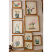 SET OF NINE CACTUS FLOWER PRINTS UNDER GLASS