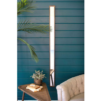 TALL THIN WALL MIRROR - 4X60T