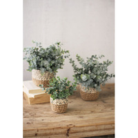 SET OF THREE ARTIFICIAL EUCALYPTUS PLANTS IN WOVEN POTS