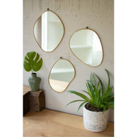 SET OF THREE BRASS FRAMED ORGANIC SHAPED MIRRORS