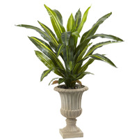5 Dracaena Plant with Urn (Real Touch)