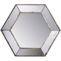 Filo 21 Inch Wall Accent Mirror, Raised Tray Edges, Hexagonal Mirror Frame