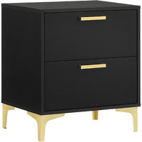 Lif 25 Inch Modern 2 Drawer Nightstand, Gold Metal Accents, Jet Black
