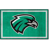 Northeastern State Riverhawks 4ft. x 6ft. Plush Area Rug
