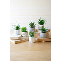 SET OF SIX ARTIFICIAL SUCCULENTS IN CEMENT POTS