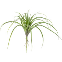 LARGE ARTIFICIAL AIR PLANT