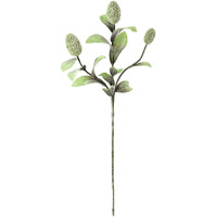 BOTANICA #2065
