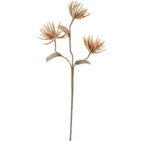 BOTANICA #2664