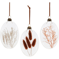 Burgandy Dried Floral Glass Ornament (Set of 12)
