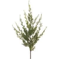 Variegated Pine Spray (Set of 6)