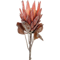Red Protea Flower Stem (Set of 2)