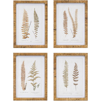 Wood Framed Fern Print (Set of 4)