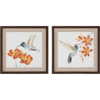 Framed Hummingbird Floral Print (Set of 2)