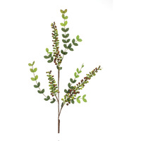 Variegated Red Berry Foliage Spray (Set of 6)