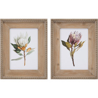 Wood Framed Protea Floral Print (Set of 2)