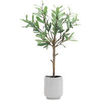 Potted Olive Leaf Topiary 21.5"H