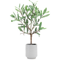 Potted Olive Leaf Topiary 17.5"H