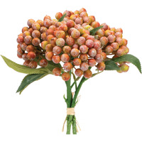 Orange Berry Bundle (Set of 2)