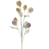 Thistle Foliage Spray (Set of 6)