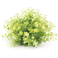 Mini Leaf Foliage Half Orb (Set of 2)