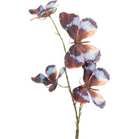 Butterfly Spray (Set of 6)
