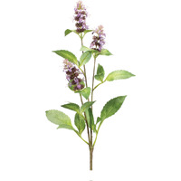 Plum Buddleia Floral Stem (Set of 6)