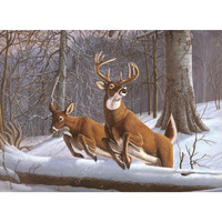ADLT LG PBN-WHITE TAILS