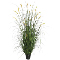 Vickerman 60" Green Foxtail Grass in Pot - TN170760