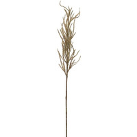 Flocked Pampas Spray (Set of 24) 31"H Plastic