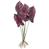 Caladium Plant (Set of 12) 22.25"H Polyester