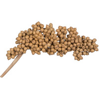 6"-8" Canella Natural 25/pk