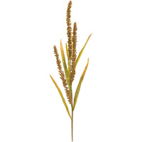 Seeded Harvest Spray (Set of 12)
