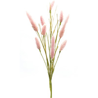 Foxtail Spray (Set of 6)