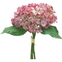 Hydrangea Bundle (Set of 6)
