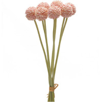 Pod Bundle (Set of 6)