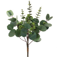 Mixed Eucalyptus Bundle (Set of 6)