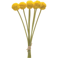 Pod Bundle (Set of 6)
