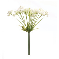 Queen Anne's Lace Stem (Set of 2)