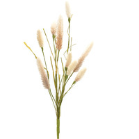 Foxtail Spray (Set of 6)