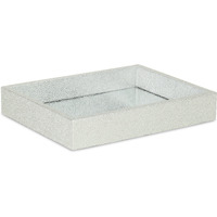Labai Mini Shagreen Mirror Tray - Silver
