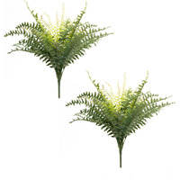 Mixed Fern Foliage Bush (Set of 2)