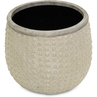 Osanna Curved Beige Ceramic Pot - Medium