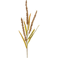 Seeded Plume Spray (Set of 12)