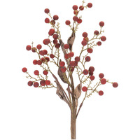 Berry Spray (Set of 12)