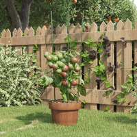 vidaXL Garden Plant Supports with 3 Rings 5 pcs Green 23.6 Steel
