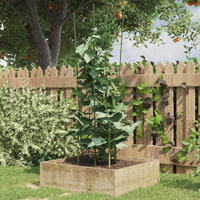vidaXL Garden Plant Supports with 4 Rings 5 pcs Green 35.4 Steel