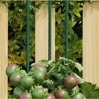vidaXL Garden Plant Stakes 30 pcs Green 23.6 Steel