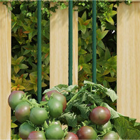 vidaXL Garden Plant Stakes 30 pcs Green 59.1 Steel